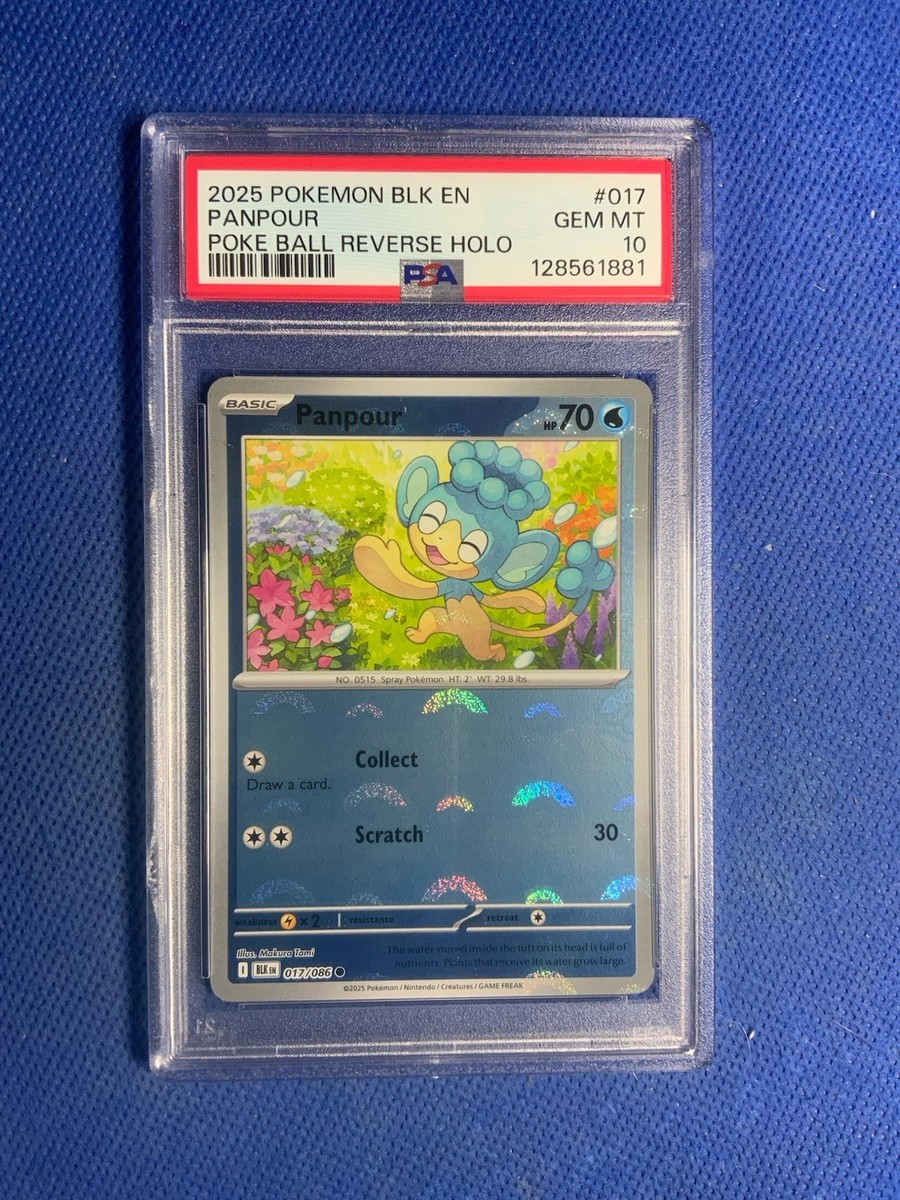 2025 Pokemon Panpour #17 Poke Ball Reverse Black Bolt BLK EN Psa