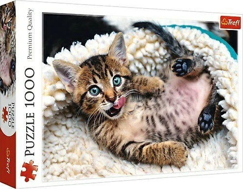 Kitten jigsaw puzzles sale