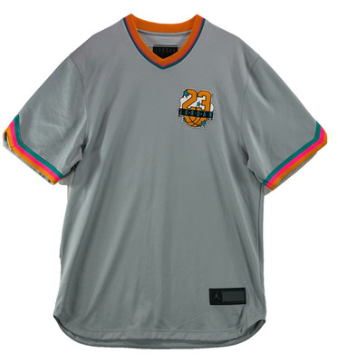 Jordan AR3883-012 Take Flight V-Neck Jersey Men's Size L Grey Pink Teal