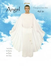 Mens Adult Complete White Angel Costume Outfit Standard Up to 46" Chest w/Halo