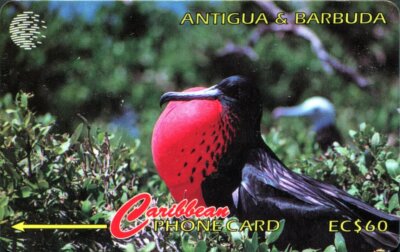 Seltene Antigua und Barbuda Karibik Telefonkarte 1995 Fregattvogel 14CATB 60 EC$