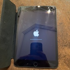 Apple iPad Mini 5 256GB Space Gray Unlocked Cracked Screen - Fully Functional 