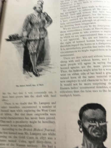 Freaks Human Fingernails & Horns Strange Rare Old Antique Article 1898 Fashion - Afbeelding 4 van 4