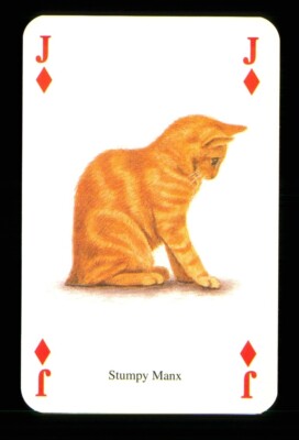 1 x Spielkarte einer Katze Stumpy Manx Jack of Diamonds ZU 09