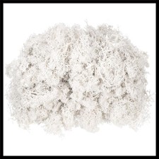 4.6oz Preserved Reindeer Moss, White Fake Moss