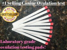 25   Canine Ovulation Fertility   Testing PINK Strips Progesterone Test  Home  