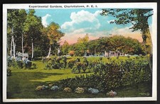 pk10819:Postcard-Vintage Experimental Gardens,Charlottetown,Prince Edward Island