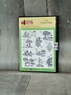 Toile 20 Classic 1-Color Designs Amazing Designs Machine Embroidery Cd Adc-105J