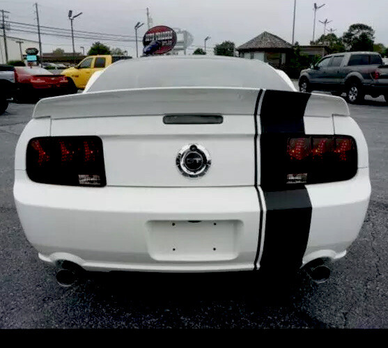 10" offset Racing Rally stripe stripes fit Ford Mustang Mach Cobra 5.0 Saleen GT