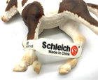 Bild 5 von 5