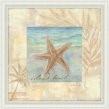 FRAMED Island Shell II by Cynthia Coulter 12x12 Art Print Starfish