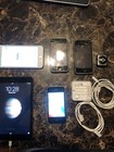 Apple Lot