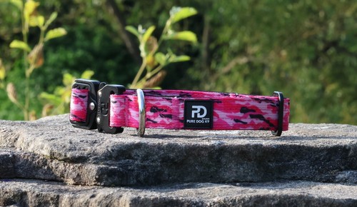 2.5cm Tactical Dog Collar 14"-18" High Quality Puppy/Small Breed Pure Dog K9 - Picture 5 of 15