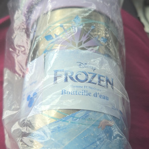 Disney FUNtainer Frozen Elsa Water Bottle 355ml Purple Blue Plastic Metal
