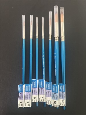 Winsor & Newton : Cotman Paint Brush Lot - 8 Brushes, Assorted Styles and Sizes