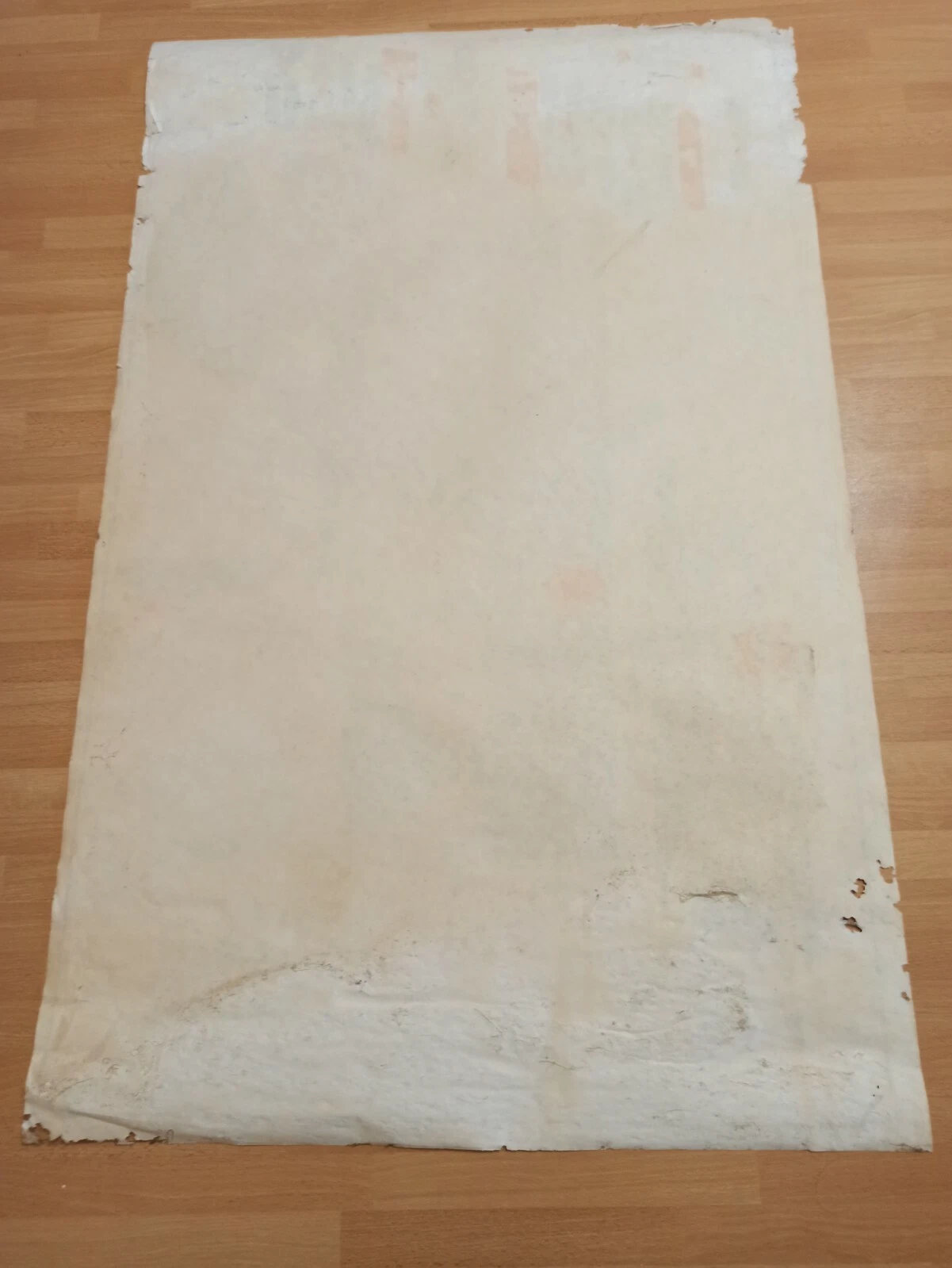 Bild 11 von 12