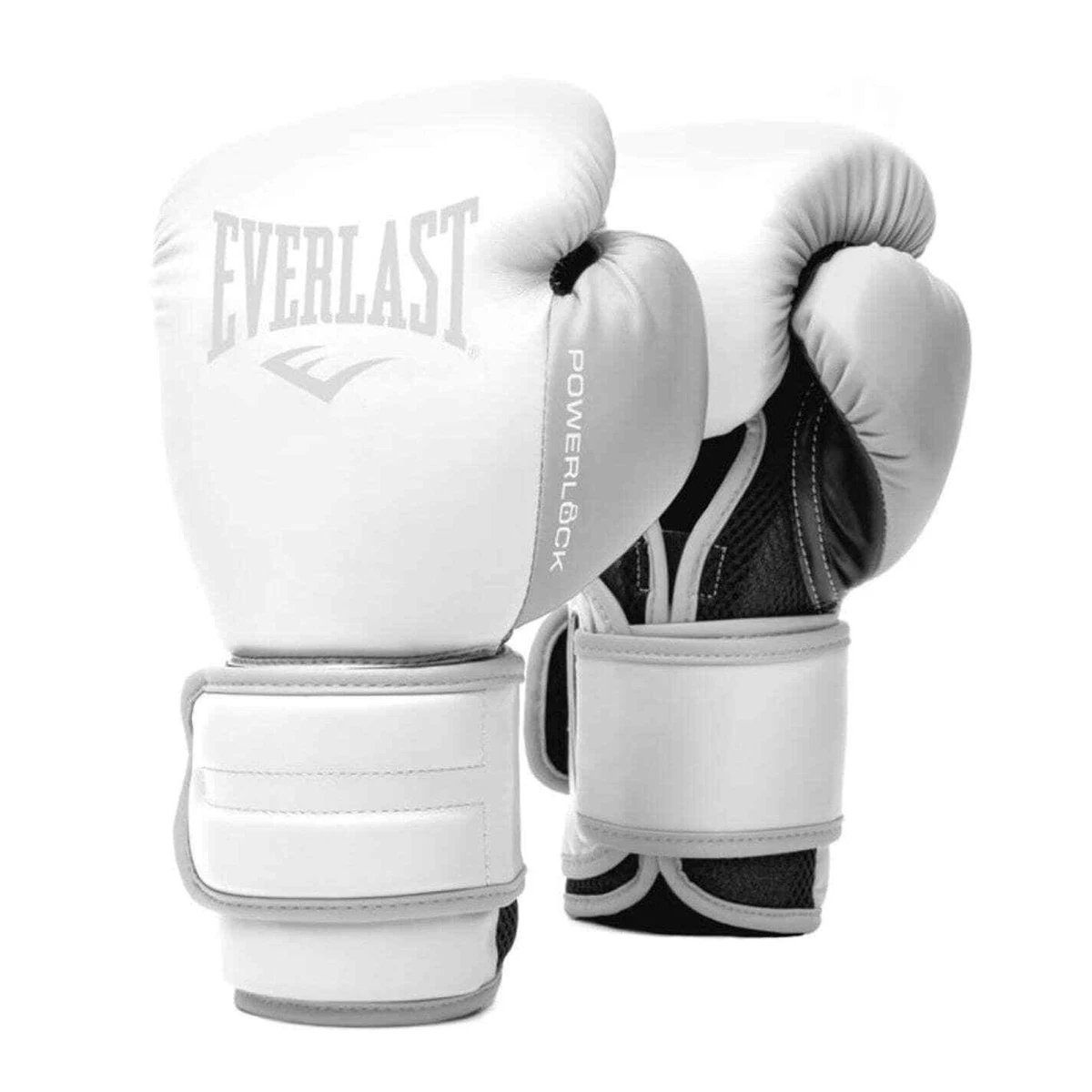 Www everlast hotsell com boxing