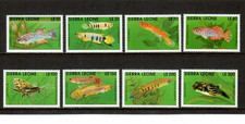 Sierra Leone 1991 - Fish Marine Life - Set of 8 Stamps - Scott #1355-62 - MNH