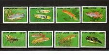 Sierra Leone 1991 - Fish Marine Life - Set of 8 Stamps - Scott #1355-62 - MNH