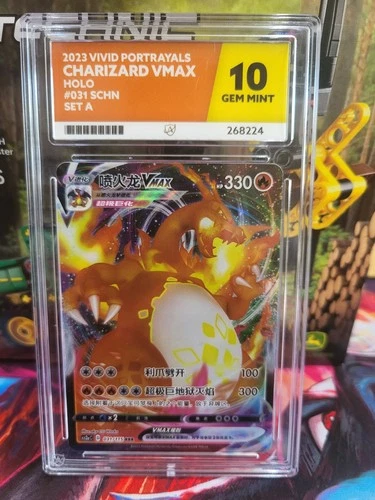 Pokémon TCG Charizard VMAX 2023 Vivid Portrayals #031 Set A Chinese ACE 10 PS