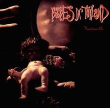 Fontanelle von Babes in Toyland | CD | Zustand sehr gut