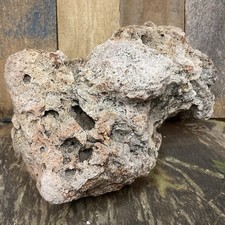 Ozark Natural Fossilized Coral Stone Micro Druzy Quartz Terrarium