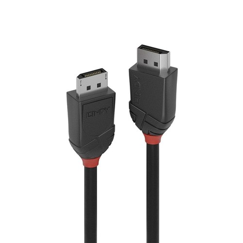Lindy 36493 3m DisplayPort 1.2 Cable, Black Line - 第 1/5 張圖片
