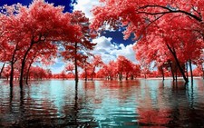 Landscape nature surreal trees water park clouds pink Custom Gaming Mat Desk