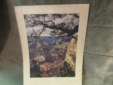 1950s Kodachrome by Chuck Abbot Lithograph Times Mirror Press Print Grand Canyon