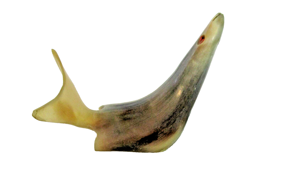 Vtg Carved Cow Horn SEA LION / SEAL Figurine 3 ½” long x 6” tall eBay