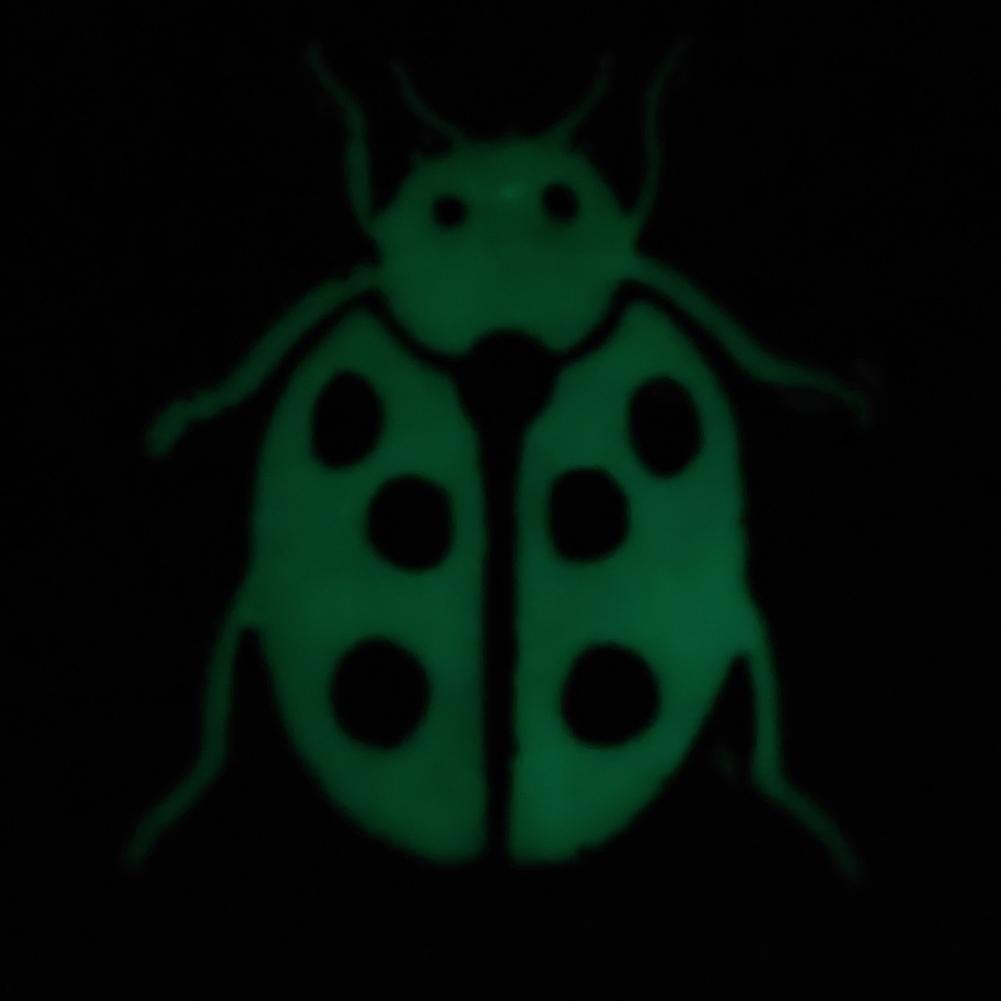 Foto 10 di 16