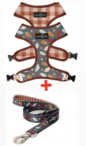 Lucy & Co the unbeatable Reversible Dog Harness size SMALL and matching leash 