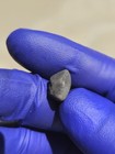 Boutel Fil Meteorite 1.095g Individual | Personal Collection | Oriented |COA — photo 6