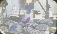 Dried Fish? Vendor, Unknown Asian Country, NO LABEL, Magic Lantern Glass Slide