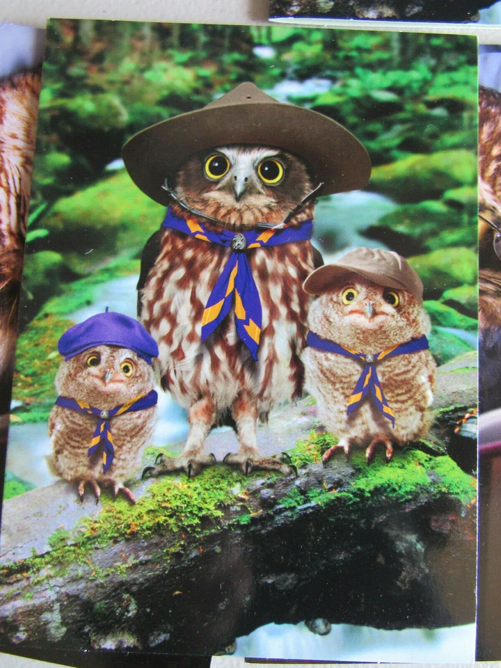 Lot of 10 Owl Family Reading Hiking Father's Day Card Greeting Avanti Press USA - Image 4 of 4