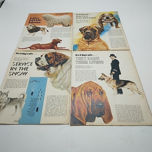 World of Wonder Vintage Children's Science & Discovery Magazine 1973 - 44 Issues - Picture 7 of 22