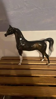 Peter Stone DAH Snowflake Arabian