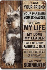 Tin Metal Sign Vintage Wall Art I Am Your Friend Gift for Lovers 8x12 I