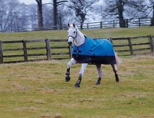 Masta Heavyweight 340g Turnout Rug Winter Avante | 600 Denier Outdoor Horse Rug