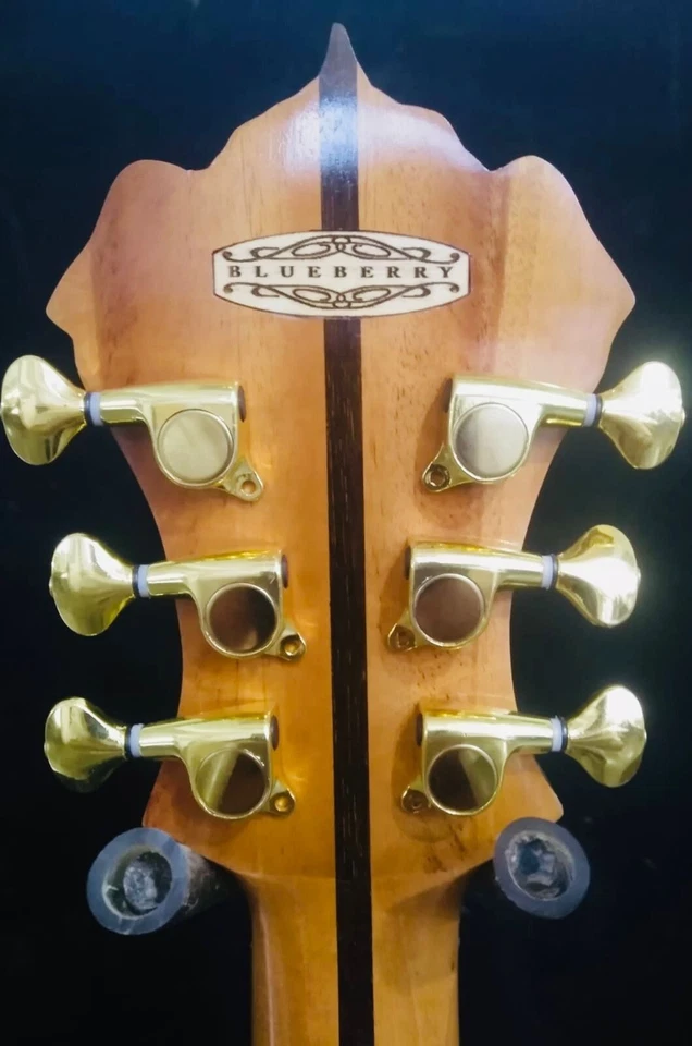 Blueberry Left Handed Handmade Parlor Size Acoustic Guitar Pre-Order 90 Days - Image 2 of 4