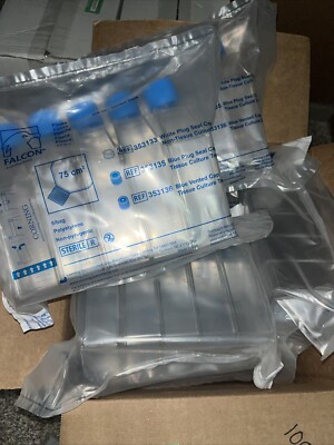 60 Corning Falcon 353136 Tissue Culture Flasks, 250mL, 75 cm2, Canted Neck 02/25
