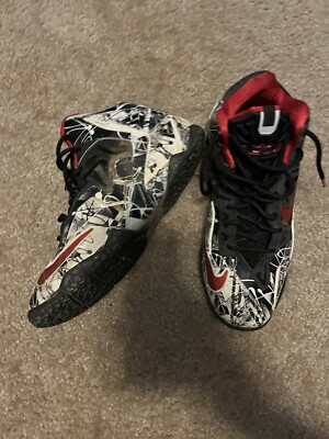 lebron james shoes size 5