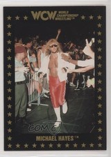 1991 Championship Marketing WCW Michael Hayes #24 0b5