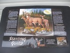 Danbury Mint Exclusive  Standing Guard Brochure & literature Free S/H — photo 2