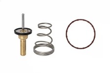 Thermostat Suzuki SPLASH