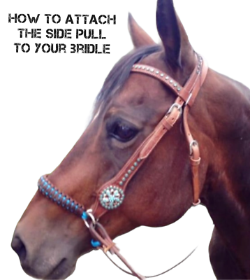 Hackamore Side Pull Noir Sans Mors, Paracorde – Tiffanys Braided Tack, Taille Mini à Draft