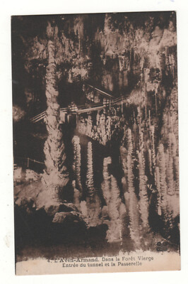Old postcard 48 - L'Aven-Armand: The Virgin Forest - Tunnel and PASSERELLE (LOZÈRE) Virgin