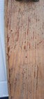 Bild 6 von 13