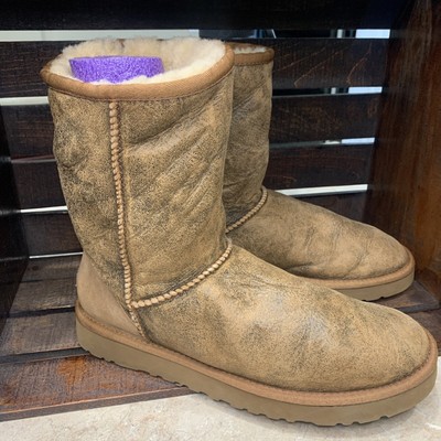 UGG Wonen Bomber Jacket Chestnut Classic Short Boots 5984 sz: US 8 