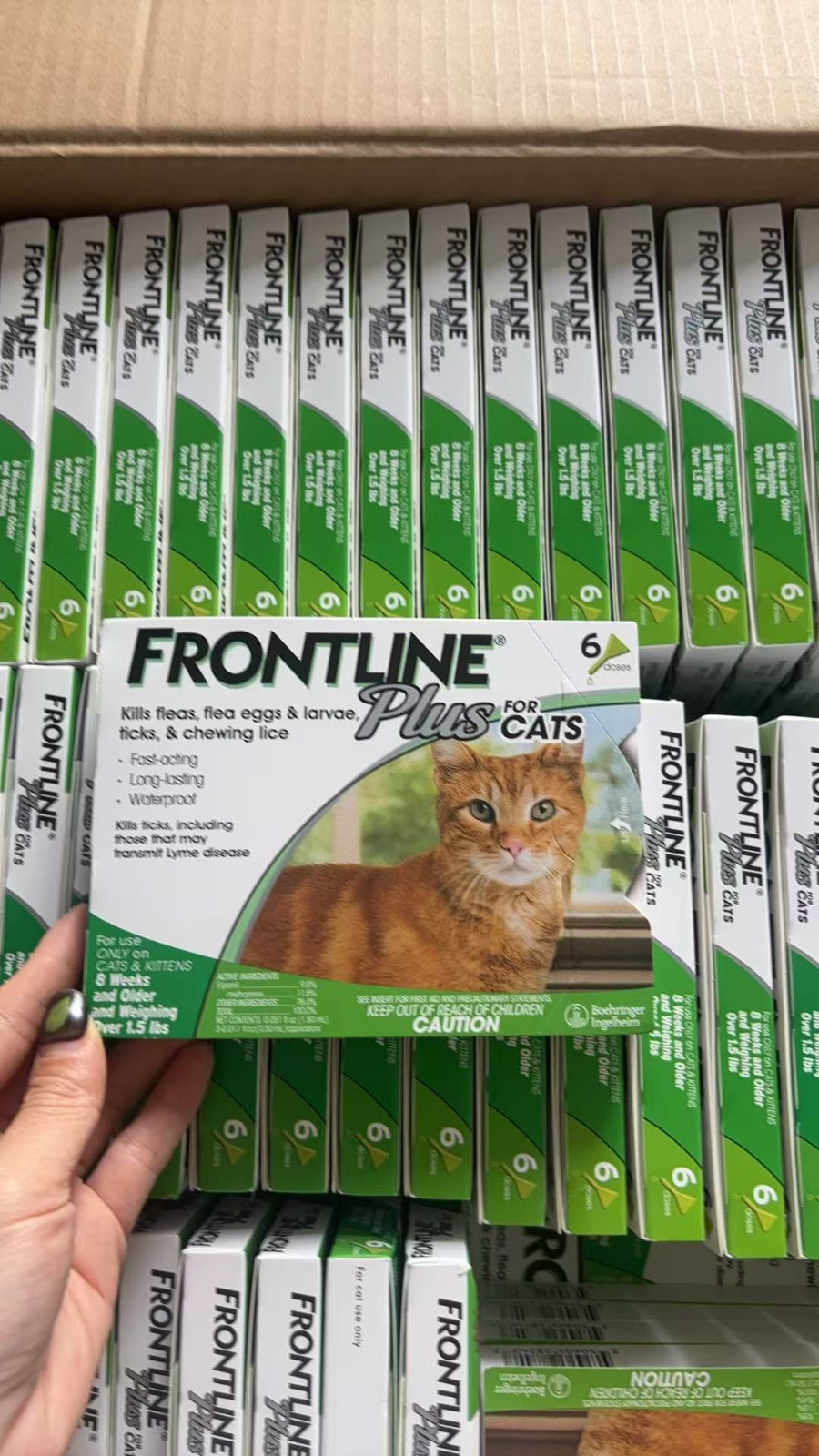 FR0NTLINE plus for cats 6 Doses Ships from US